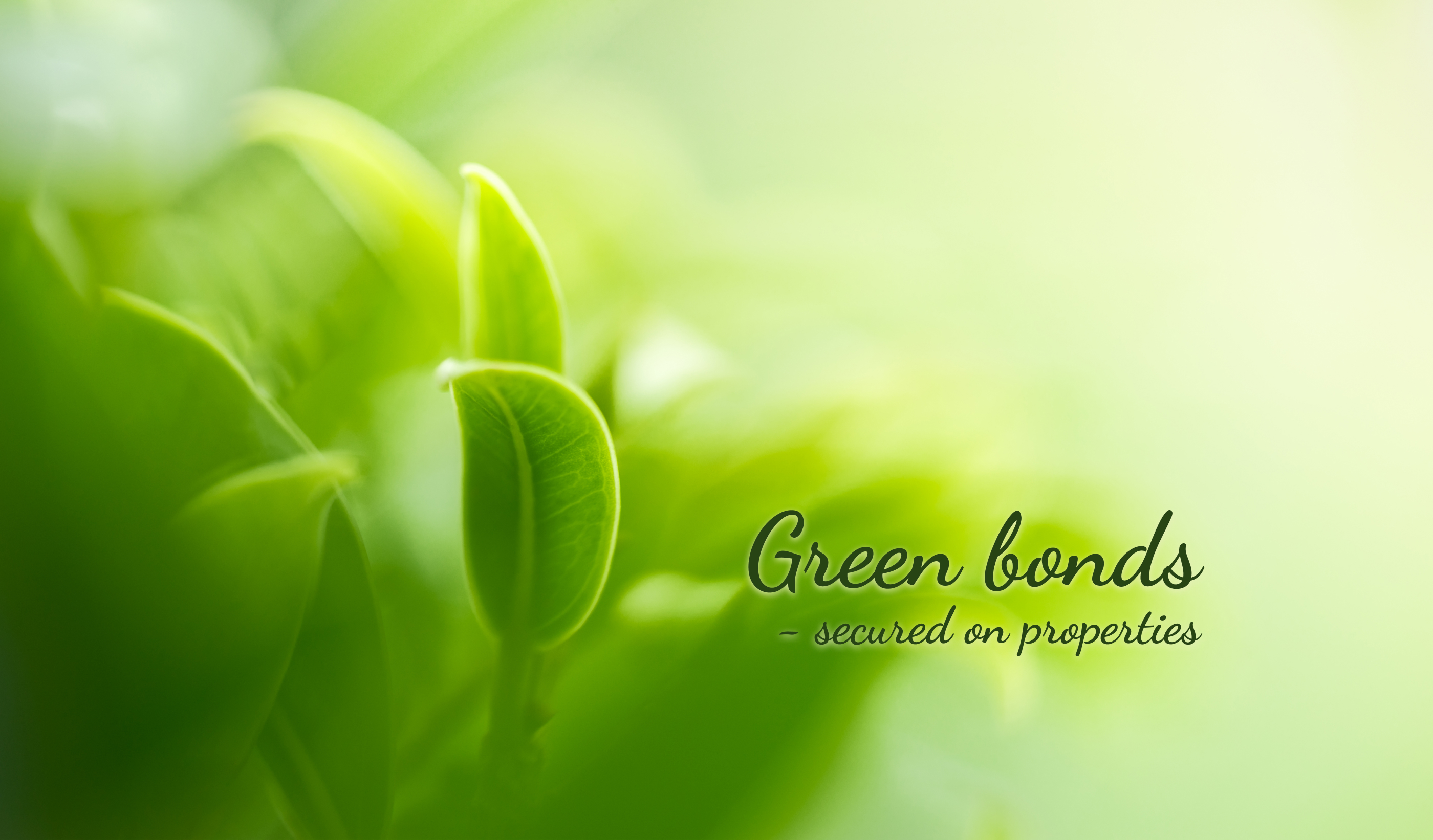 Green Bonds beskuren2